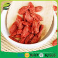 Организованный компанией USDA органический Goji Berry